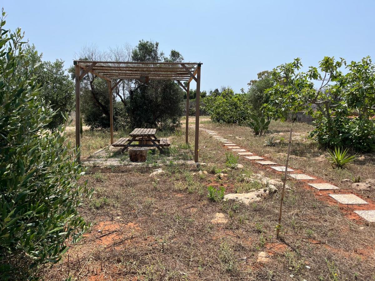 Villa Maria Torre San Giovanni Ugento Dış mekan fotoğraf